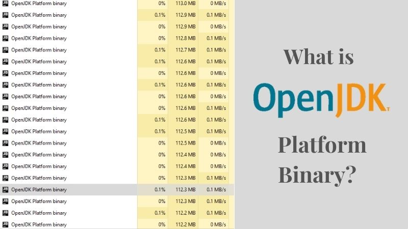 OpenJDK Platform Binary